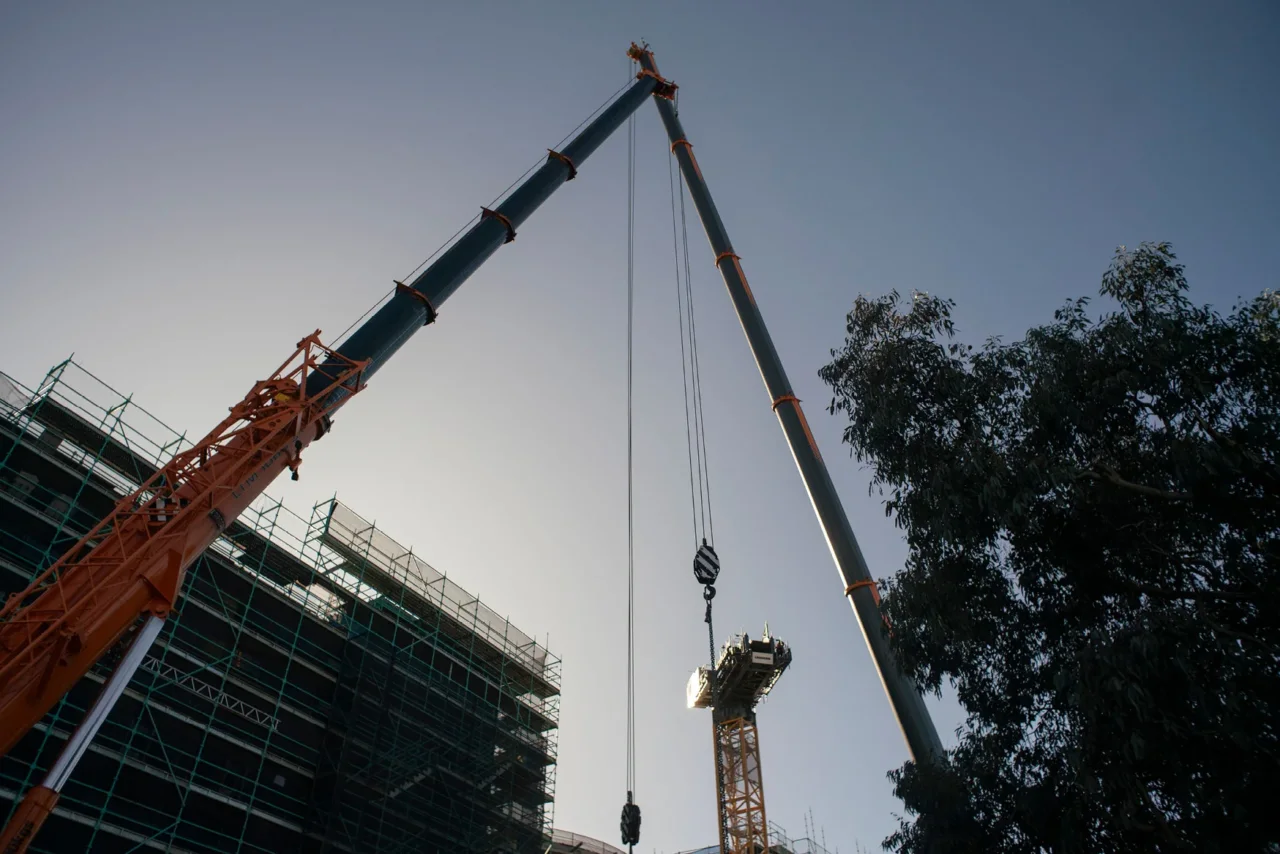 Gallery July 2025 gallery image