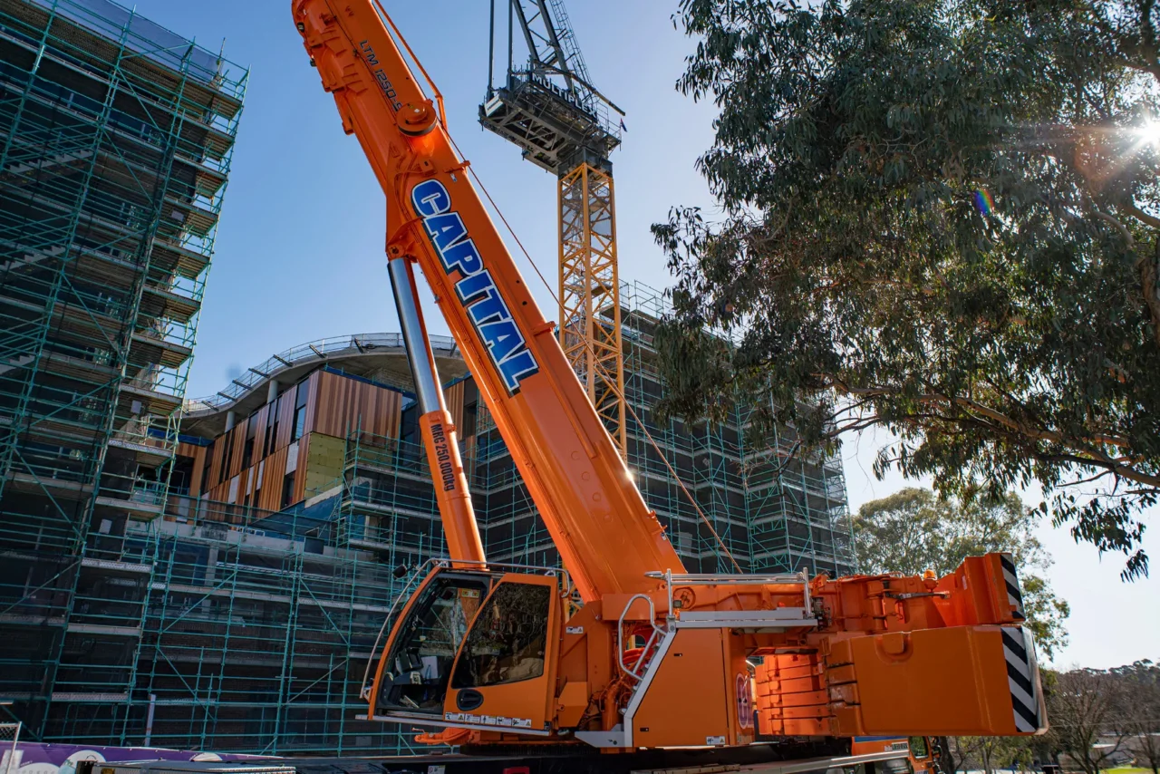 Gallery July 2025 gallery image