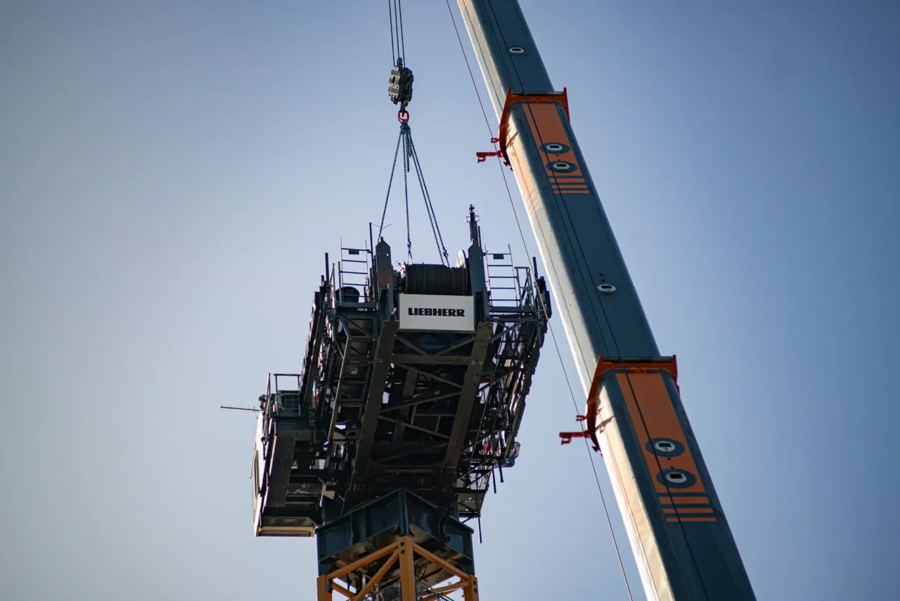 Gallery July 2025 gallery image